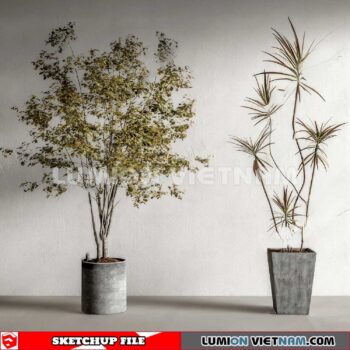 230614. Plant Pots Sketchup 3D Models