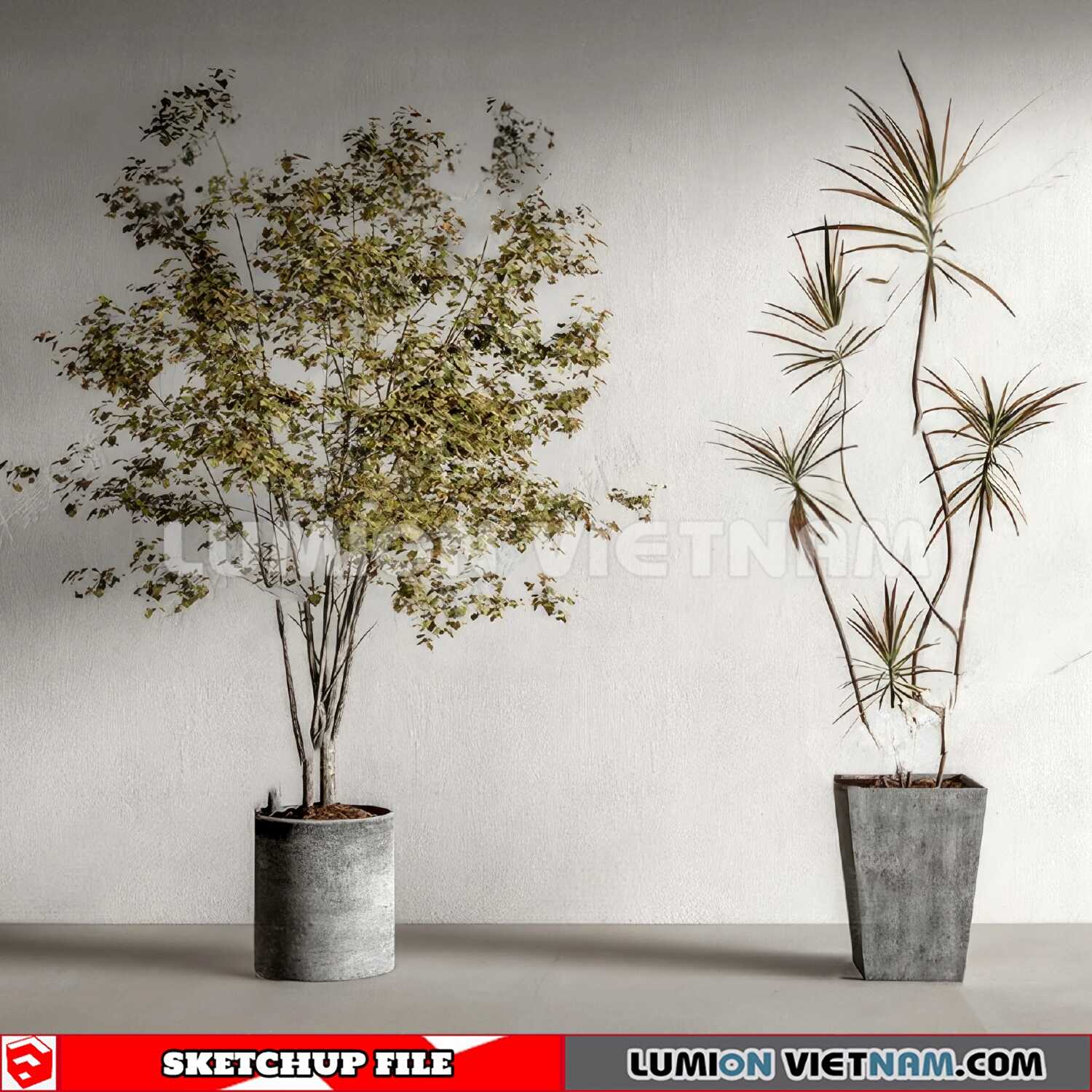 230614-Plant-Pots-(23)-Sketchup-Models