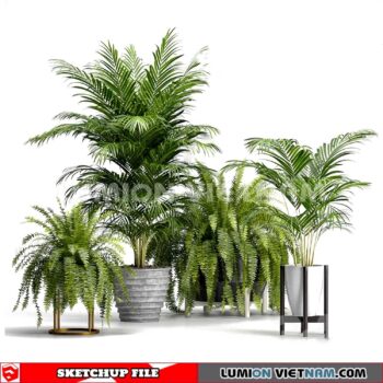 230614. Plant Pots Sketchup 3D Models