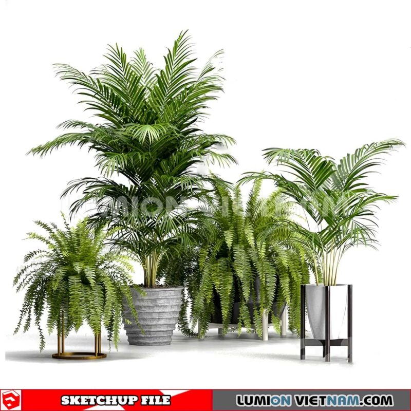 230614. Plant Pots Sketchup 3D Models