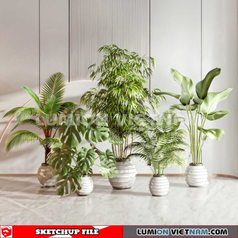 230614. Plant Pots Sketchup 3D Models