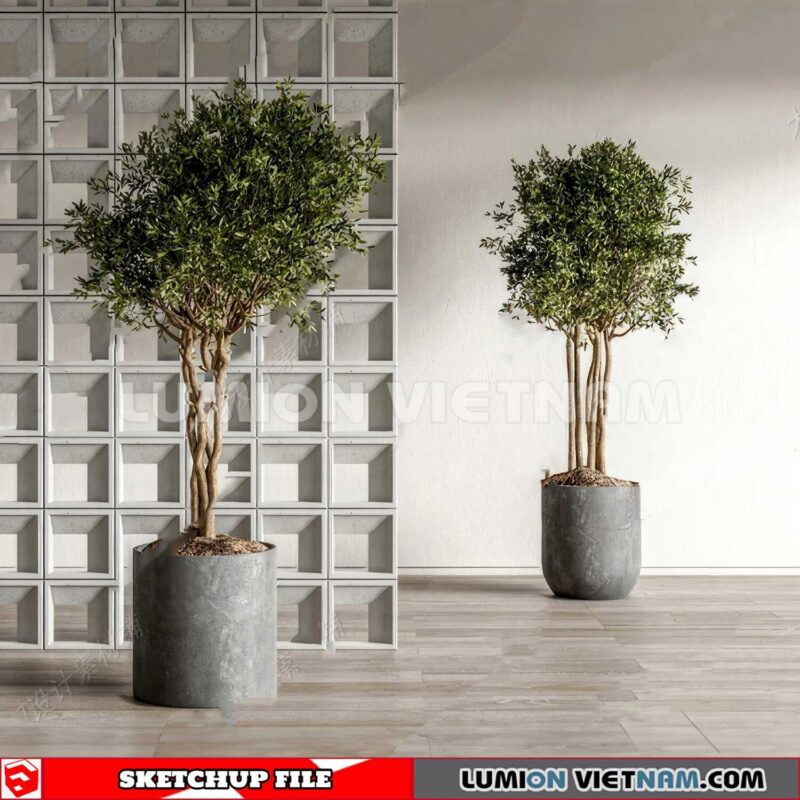 230614. Plant Pots Sketchup 3D Models