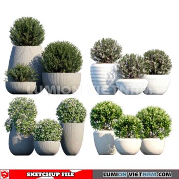 230614. Plant Pots Sketchup 3D Models