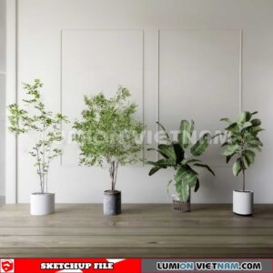 230614. Plant Pots Sketchup 3D Models