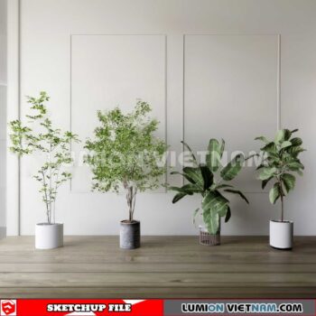 230614. Plant Pots Sketchup 3D Models