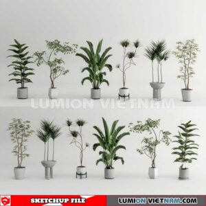 230614. Plant Pots Sketchup 3D Models