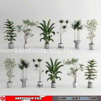 230614. Plant Pots Sketchup 3D Models