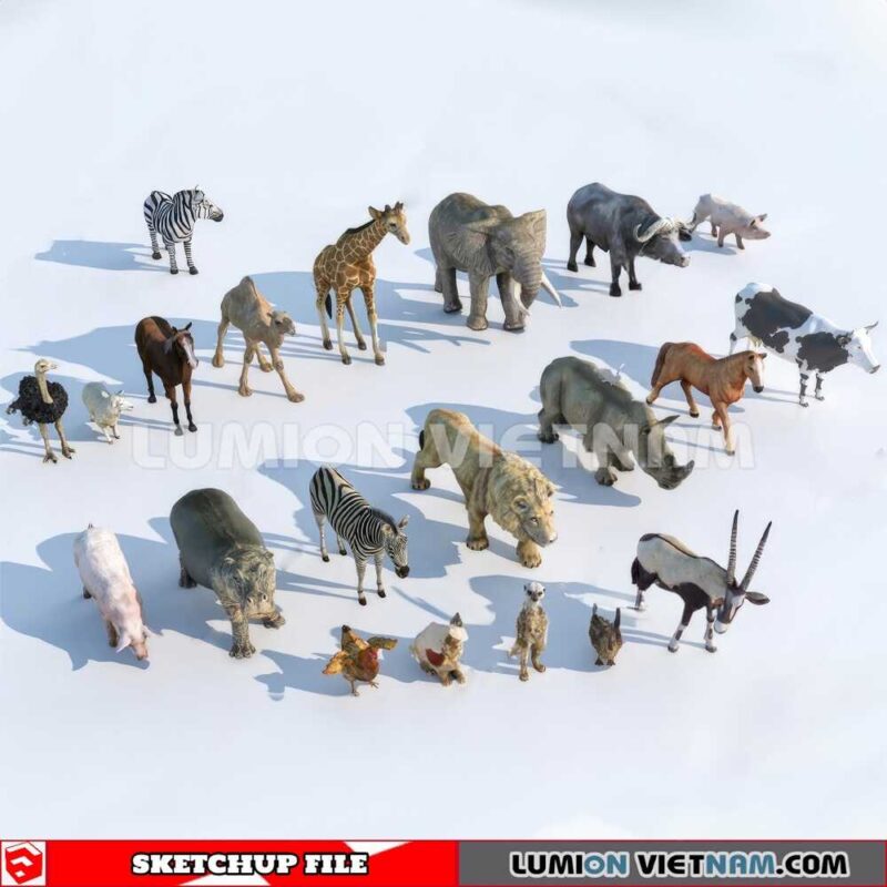 230616. Animal Sketchup 3D Models By Dinh Thanh