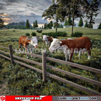 230616. Cow Sketchup 3D Models By Dinh Thanh