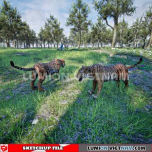 230616. Tiger Sketchup 3D Models By Dinh Thanh