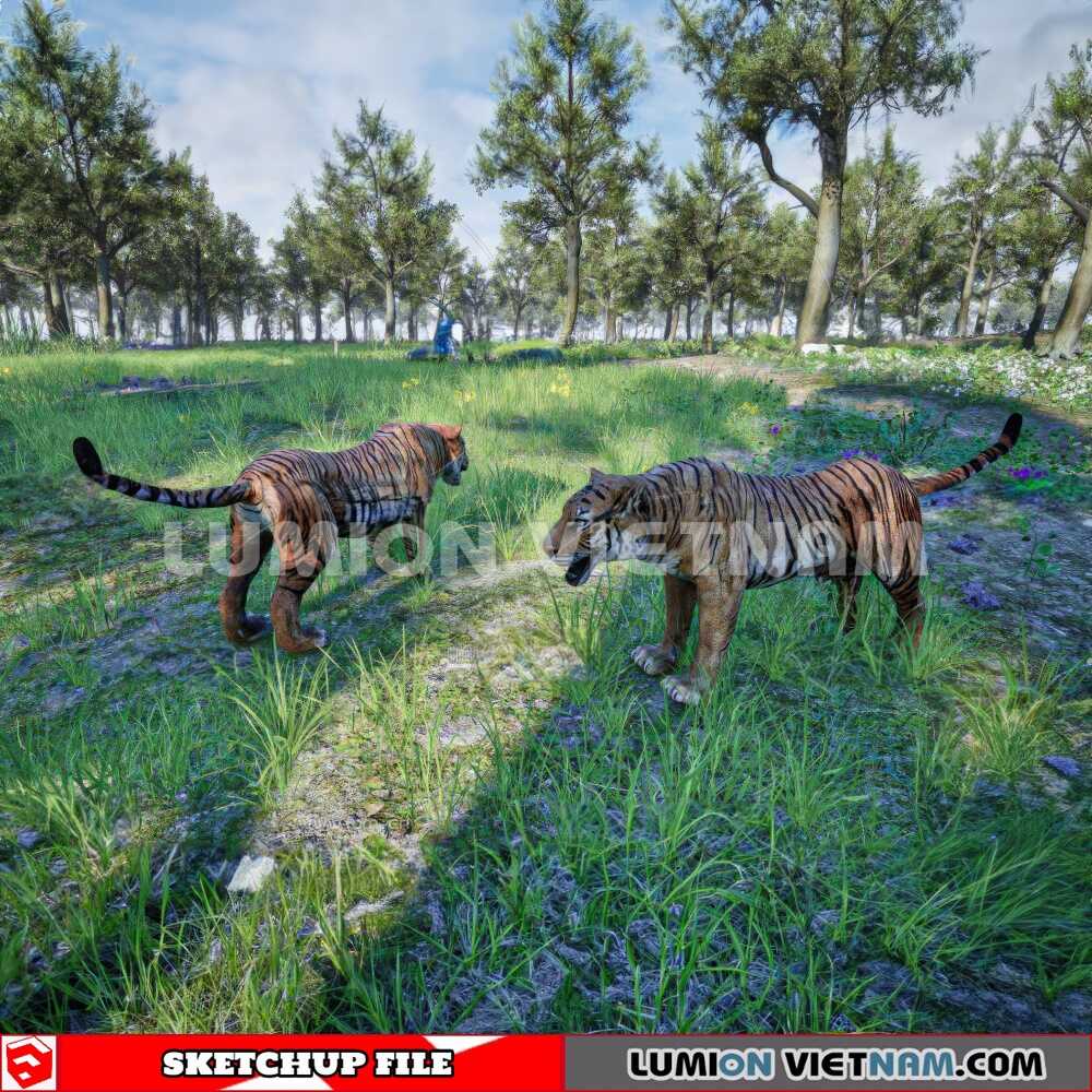 230616-Animal-(3)-Sketchup-Models