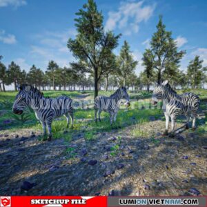 230616. Zebra Sketchup 3D Models By Dinh Thanh