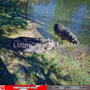230616. Hippo Sketchup 3D Models By Dinh Thanh