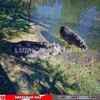 230616. Hippo Sketchup 3D Models By Dinh Thanh