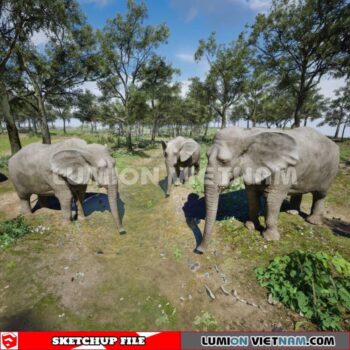 230616. Elephants Sketchup 3D Models By Dinh Thanh